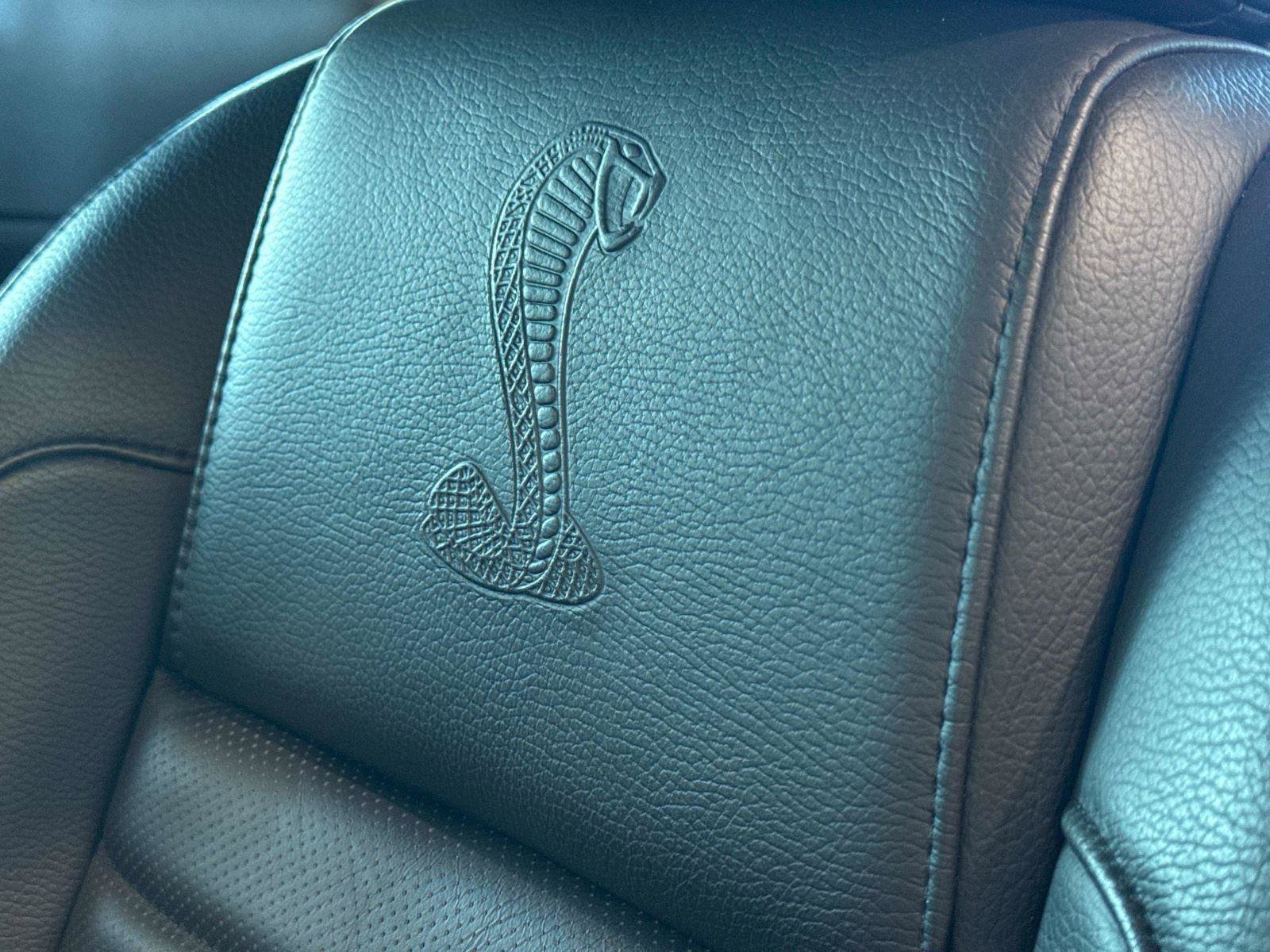 Used 2007 Ford Mustang Shelby GT500 RWD image 17