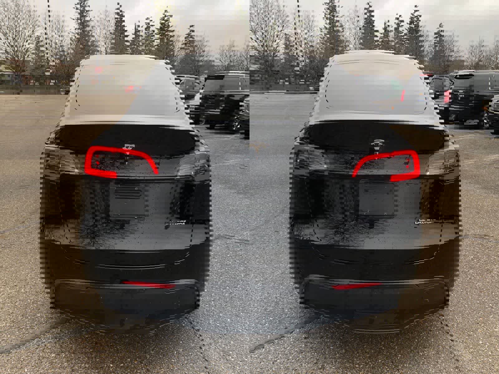 Used 2023 Tesla Model Y Long Range image 4