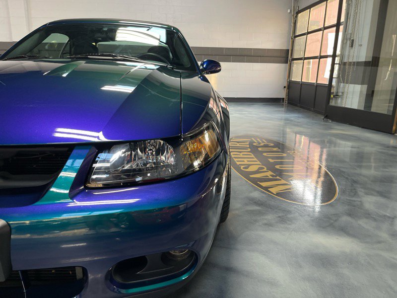 Used 2004 Ford Mustang Cobra image 4
