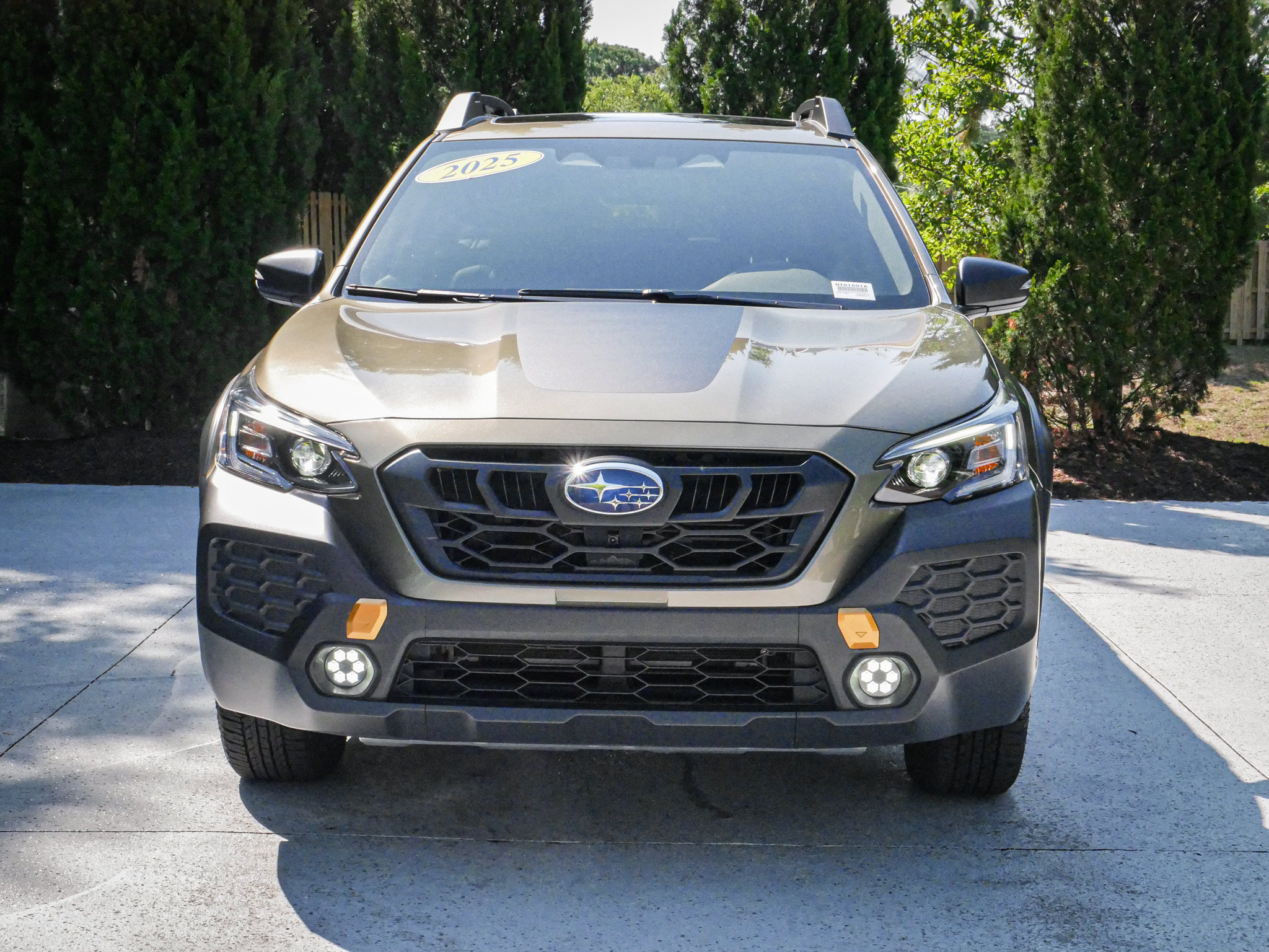 Used 2025 Subaru Outback Wilderness AWD/4WD image 3