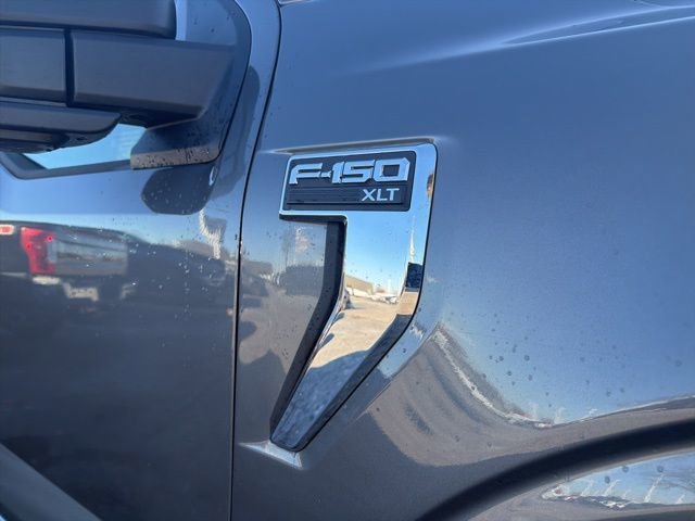 Used 2024 Ford F150 XLT image 5