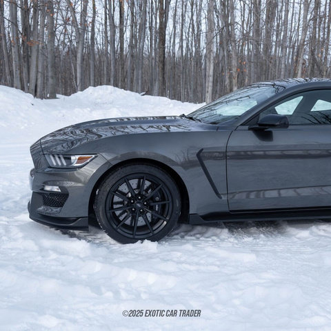 Used 2015 Ford Mustang Shelby GT350 image 72