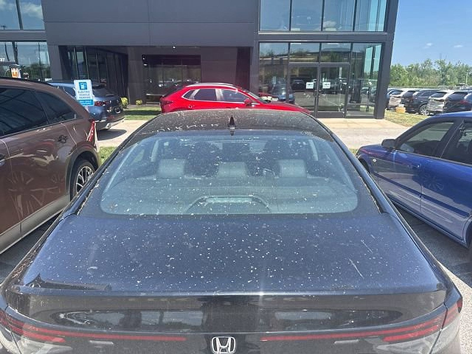 Used 2024 Honda Accord Touring image 6