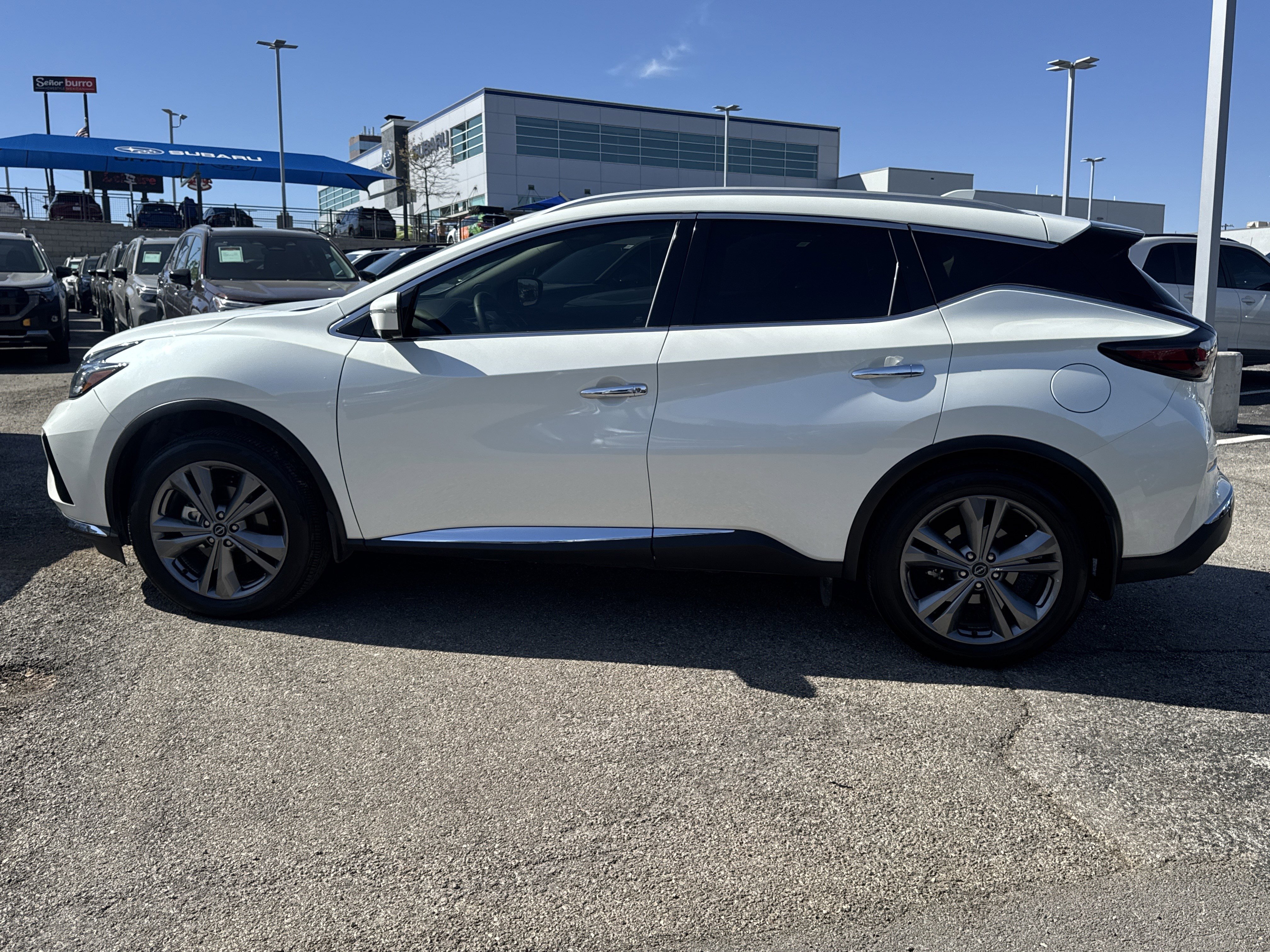 Used 2024 Nissan Murano Platinum w/ Cargo Package image 6