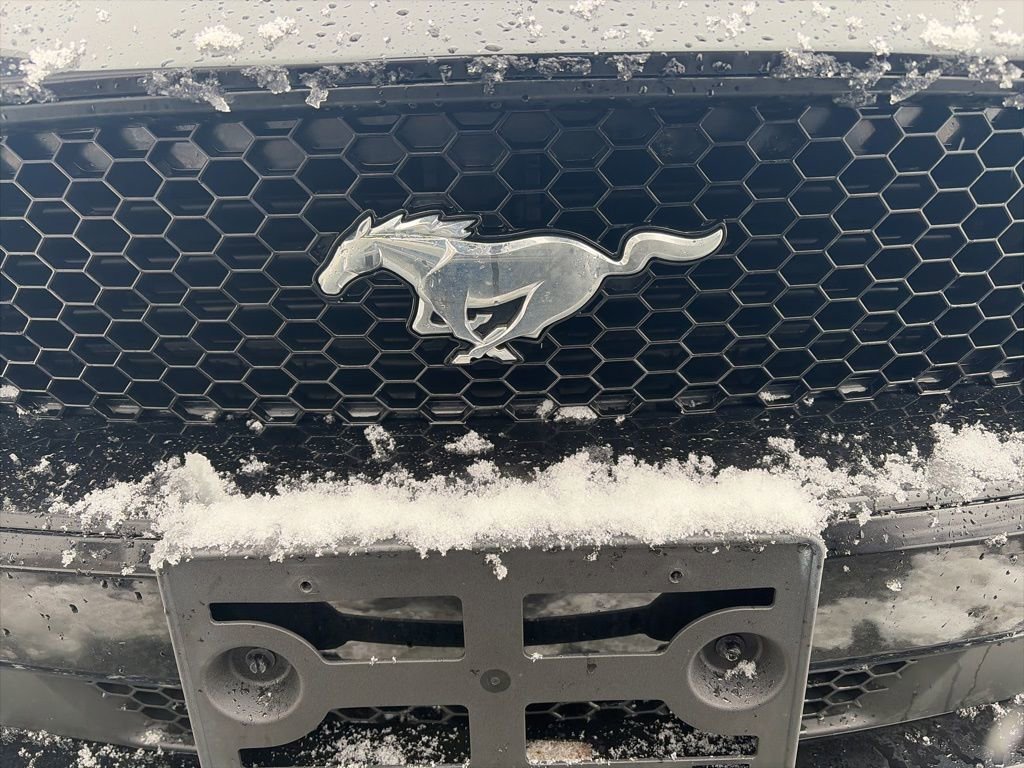 Used 2022 Ford Mustang GT Premium image 3