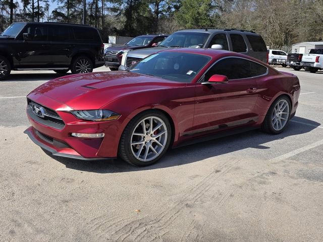 Used 2019 Ford Mustang Premium w/ Equipment Group 201A image 14