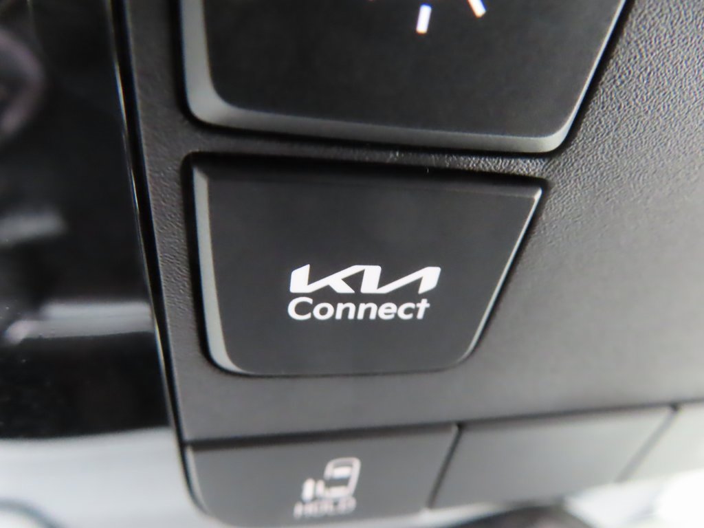 New 2026 Kia Carnival image 13