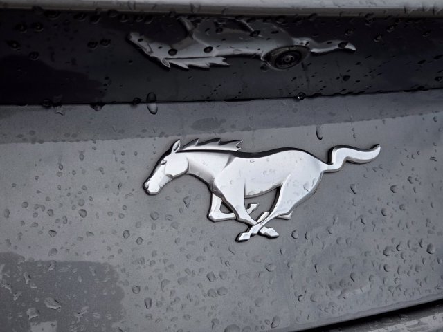 Used 2024 Ford Mustang Premium RWD image 9