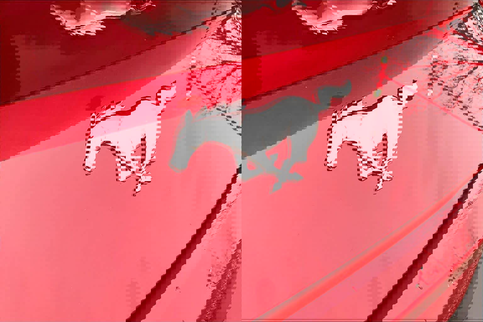 Certified 2024 Ford Mustang Premium image 26