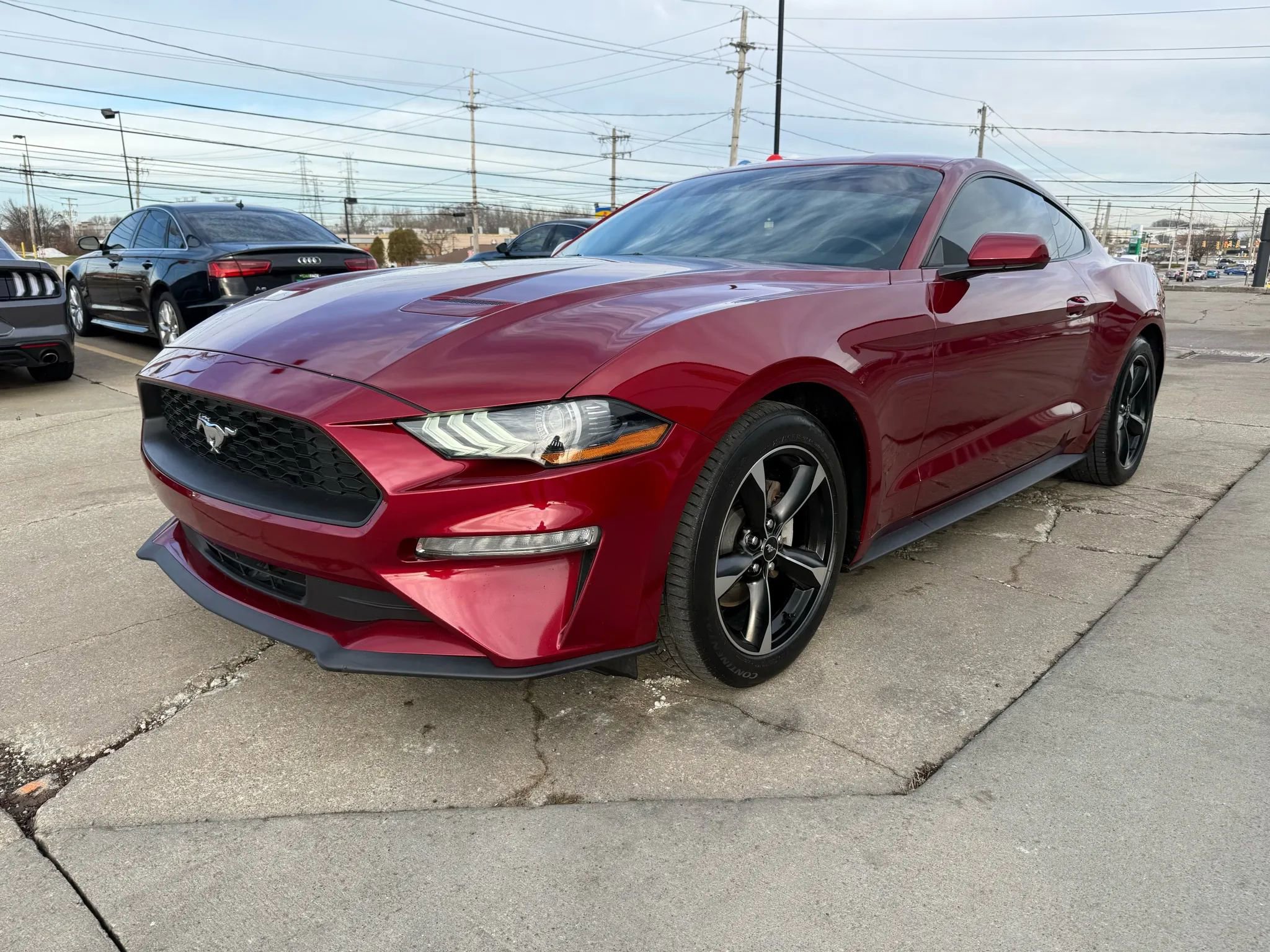 Used 2019 Ford Mustang Coupe w/ Equipment Group 101A image 6