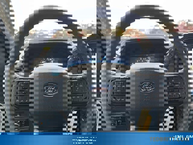 Used 2025 Ford F150 XL w/ Equipment Group 103A High image 18