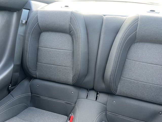 New 2026 Ford Mustang Coupe w/ Mustang Nite Pony Package image 16