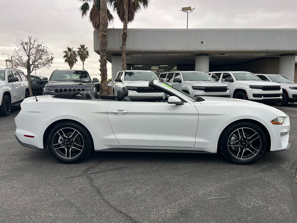 Used 2023 Ford Mustang Premium image 7