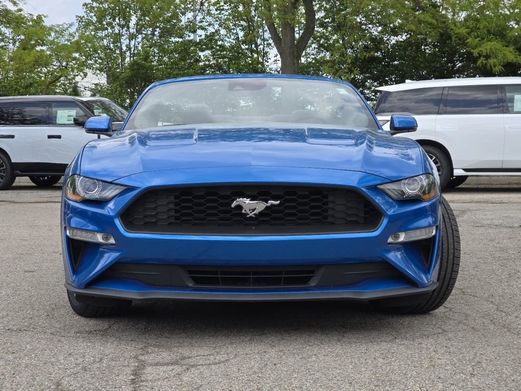 Used 2019 Ford Mustang Premium w/ Equipment Group 201A RWD image 13