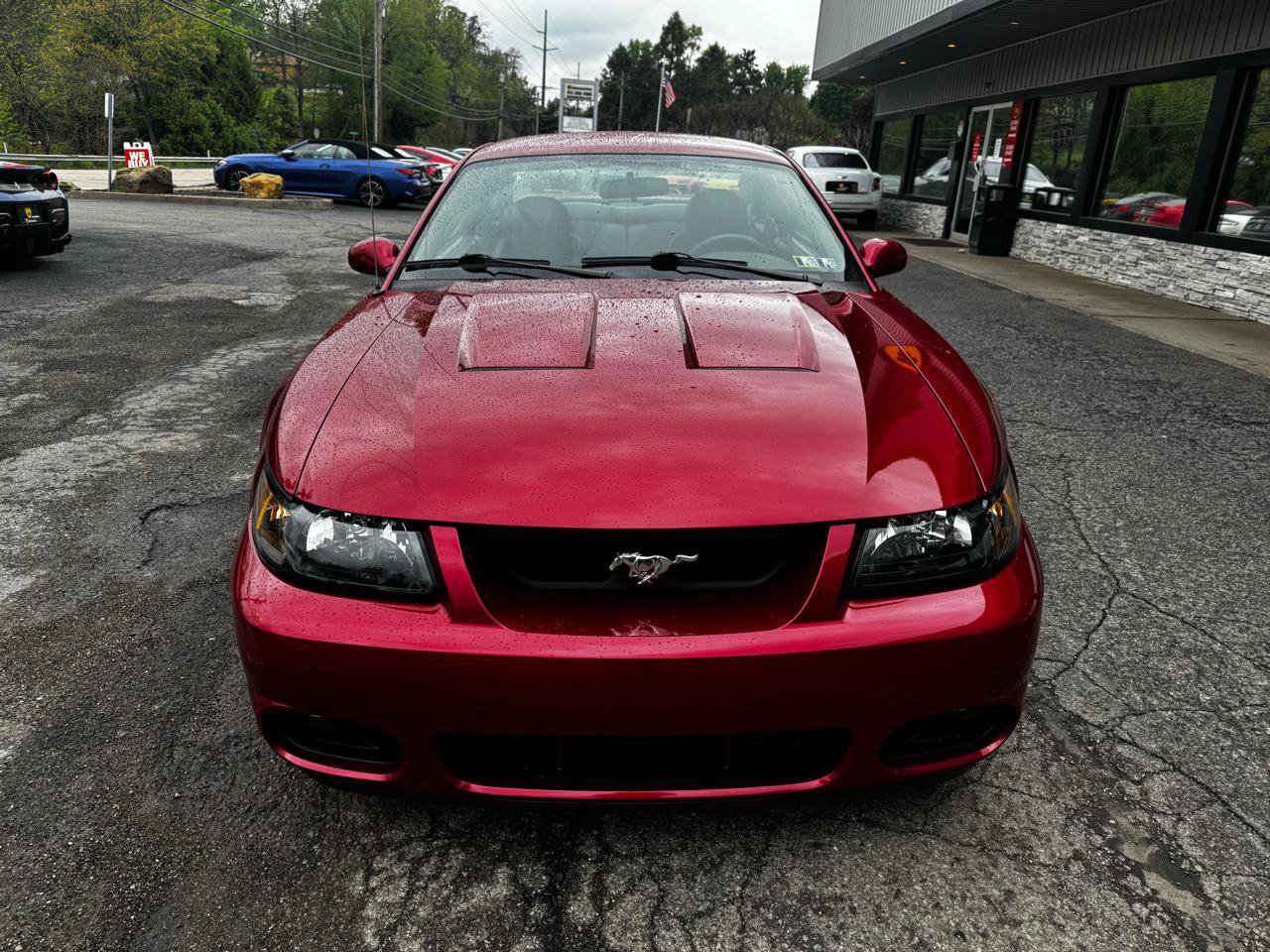 Used 2004 Ford Mustang Cobra RWD image 9