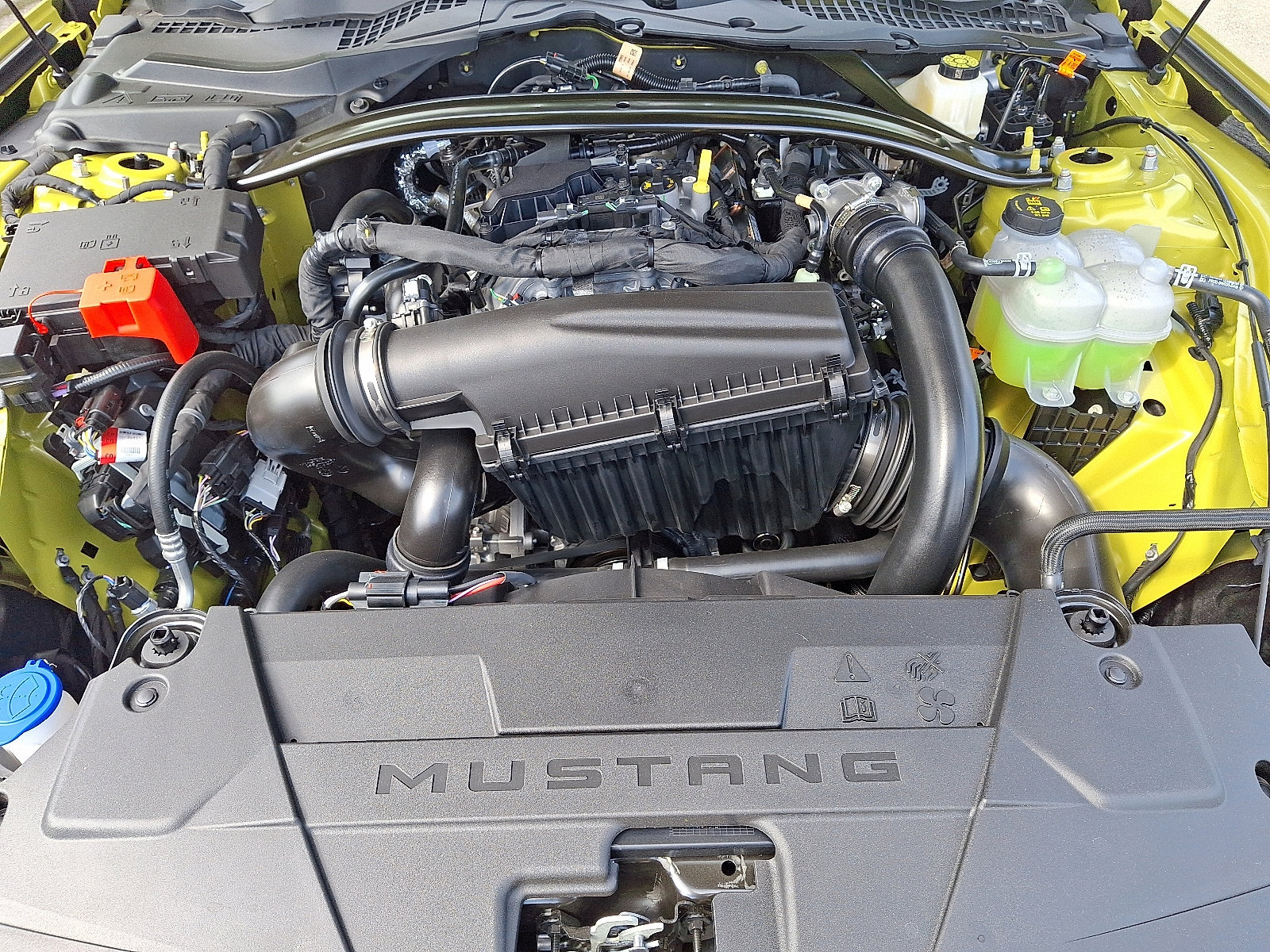 New 2025 Ford Mustang Premium w/ Mustang Nite Pony Package RWD image 19