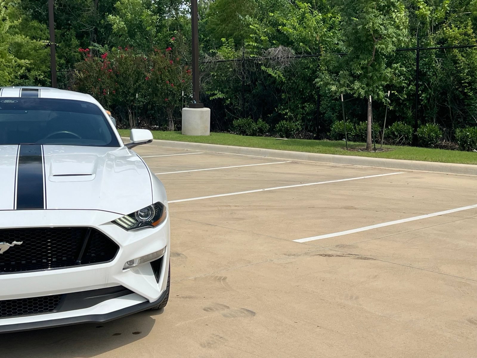 Used 2022 Ford Mustang GT Premium w/ Equipment Group 401A RWD image 3