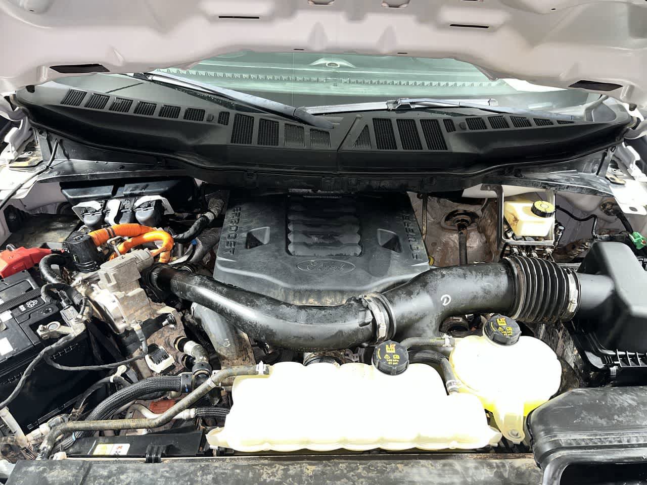 Used 2022 Ford F150 XL w/ Equipment Group 101A High AWD/4WD image 12