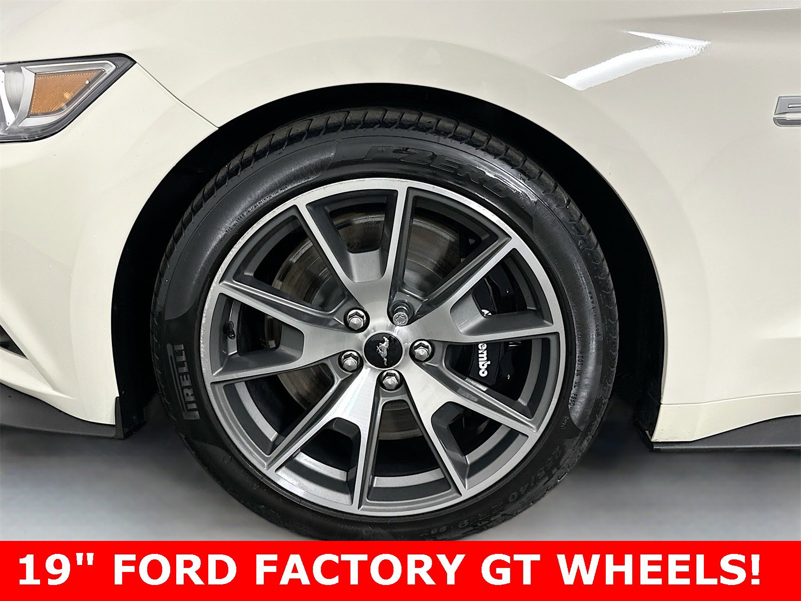 Used 2015 Ford Mustang 50 Years image 9