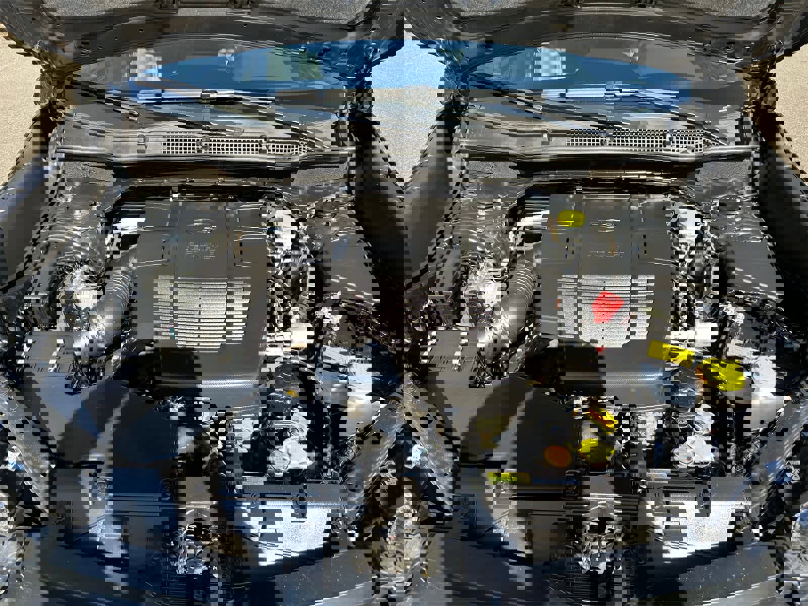 Certified 2022 Subaru Forester Wilderness image 8