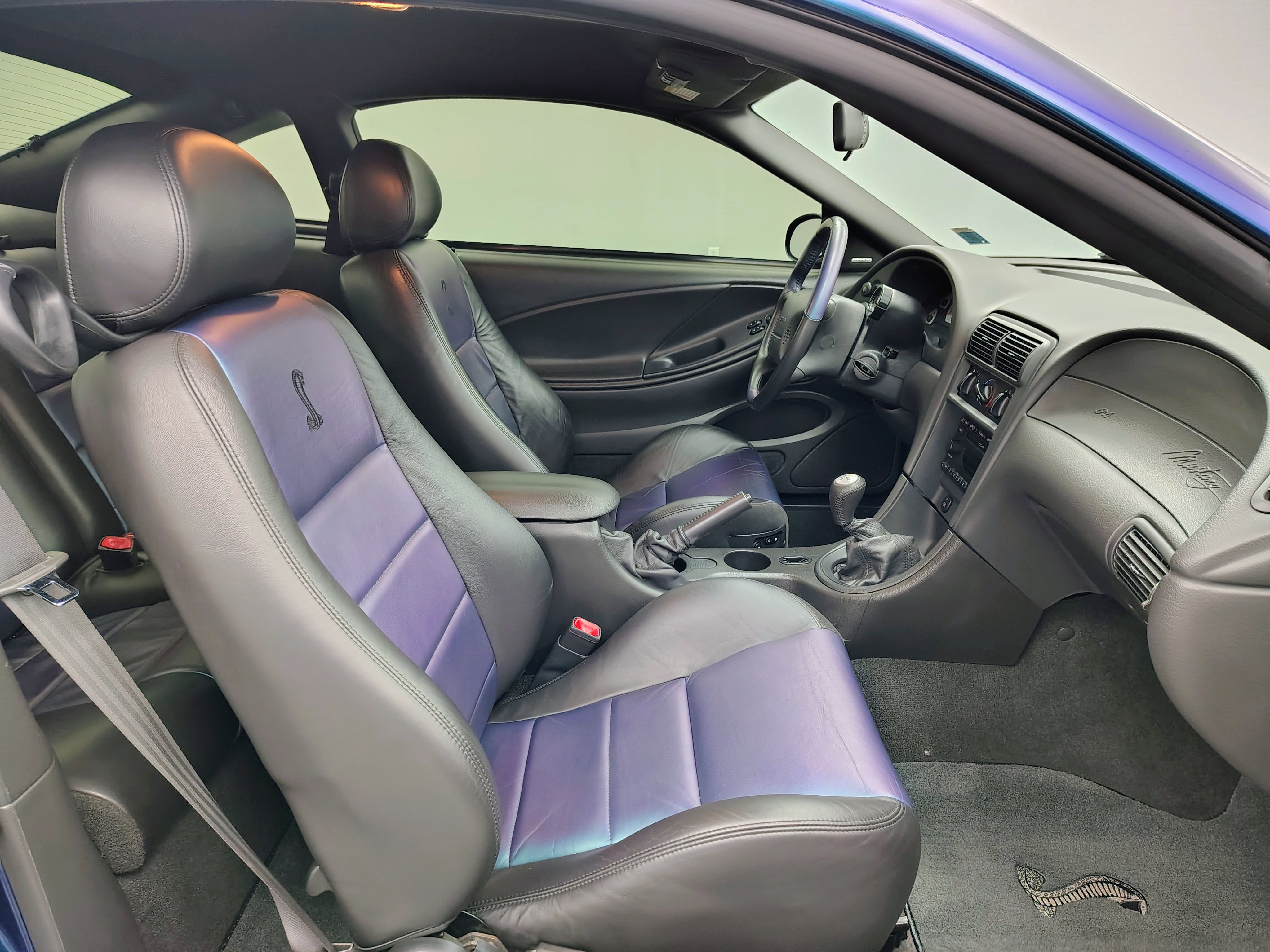 Used 2004 Ford Mustang Cobra RWD image 61