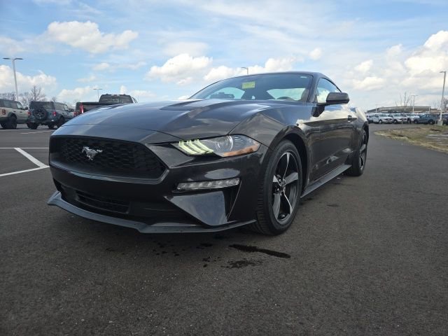 Certified 2023 Ford Mustang EcoBoost w/ Equipment Group 101A image 5