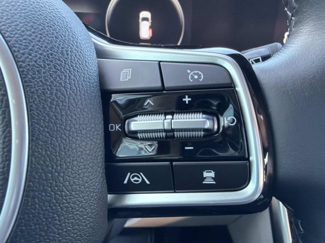 Used 2024 Kia Carnival SX Prestige image 28