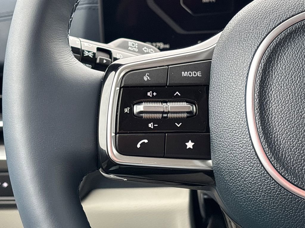 New 2025 Kia Carnival SX Prestige image 21