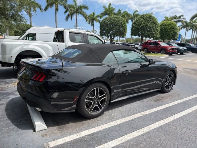 Used 2025 Ford Mustang Premium RWD image 4