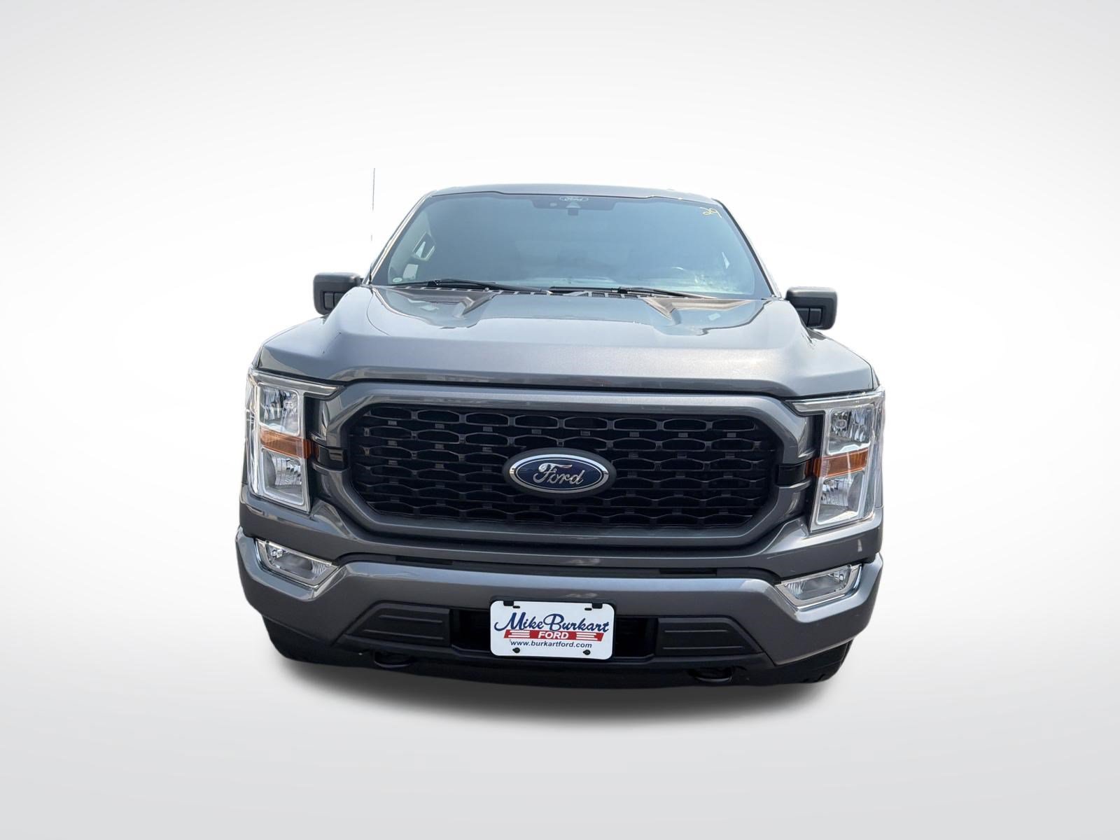 Used 2021 Ford F150 XL w/ STX Appearance Package AWD/4WD image 3