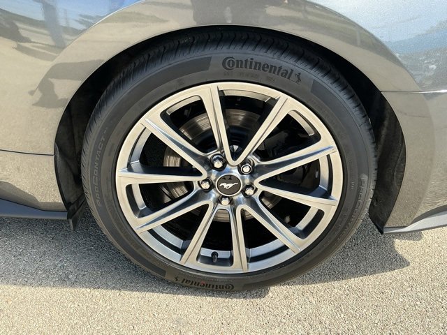 Used 2015 Ford Mustang GT Premium w/ Equipment Group 401A image 5