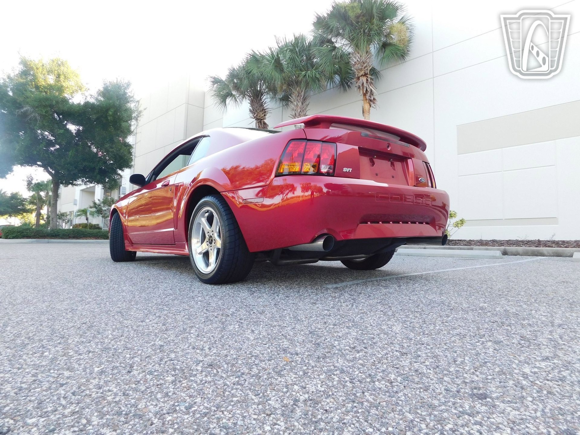 Used 2001 Ford Mustang Cobra image 20