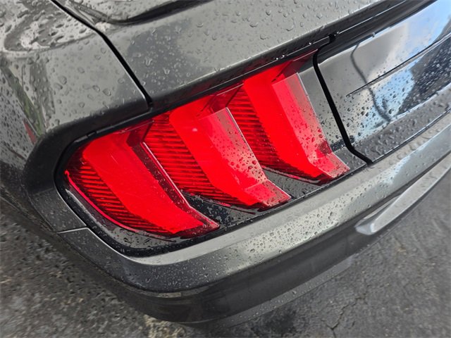 Used 2019 Ford Mustang Premium image 5