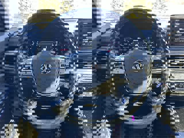 Used 2020 Kia Telluride SX w/ SX Prestige Package image 8