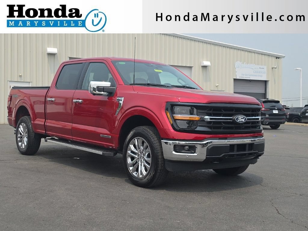 Used 2024 Ford F150 XLT w/ Equipment Group 302A MID