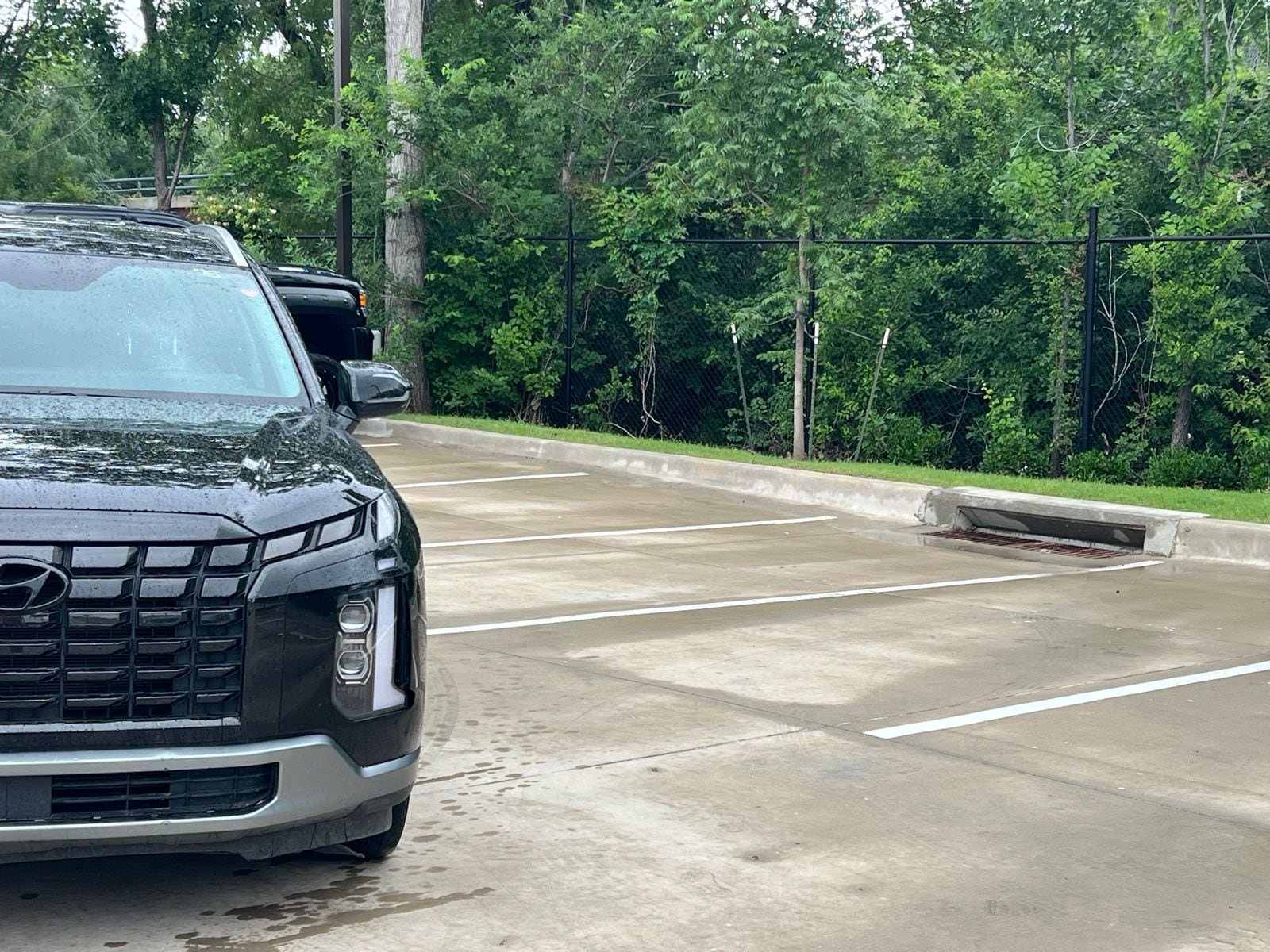 Used 2025 Hyundai Palisade SEL FWD image 3