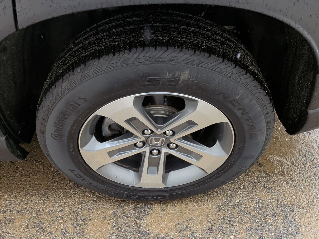 Certified 2024 Honda Pilot EX-L image 13