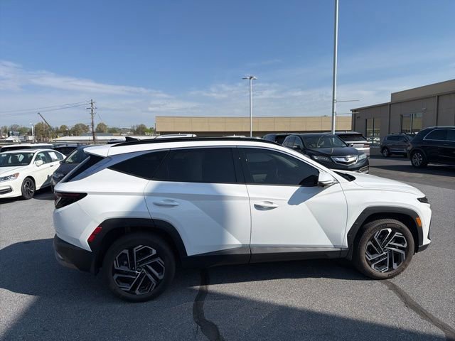 Used 2025 Hyundai Tucson Limited image 11