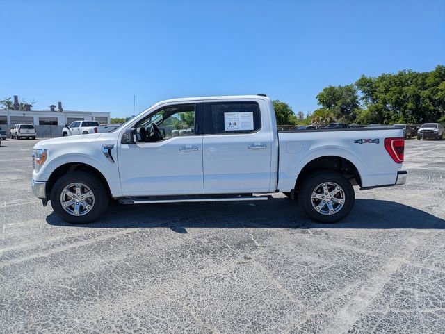 Used 2023 Ford F150 XLT w/ Equipment Group 301A Mid image 4