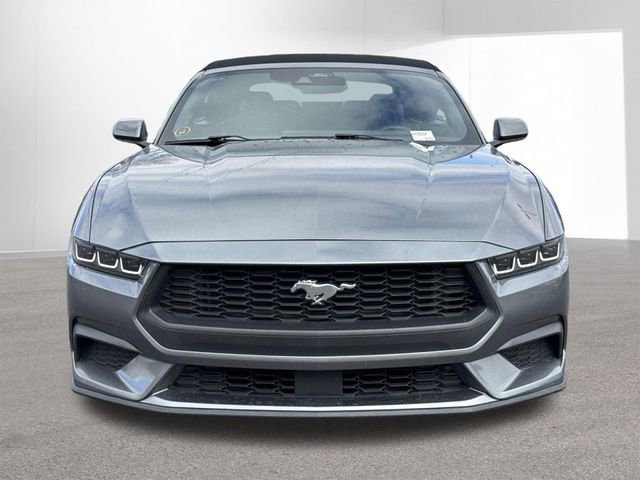 Used 2024 Ford Mustang Premium image 16