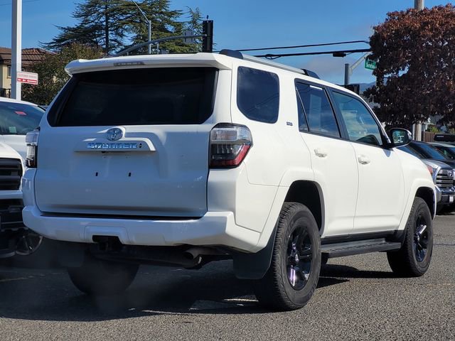 Certified 2024 Toyota 4Runner SR5 Premium image 6