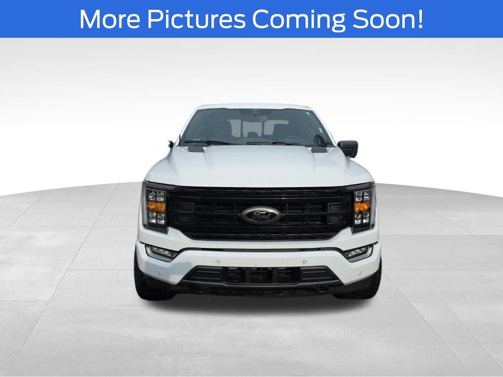 Used 2023 Ford F150 XLT w/ Equipment Group 302A High image 2