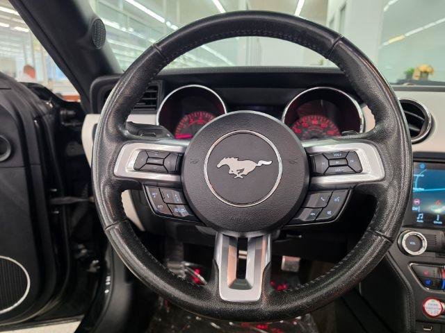 Used 2017 Ford Mustang GT Premium w/ Equipment Group 401A RWD image 17