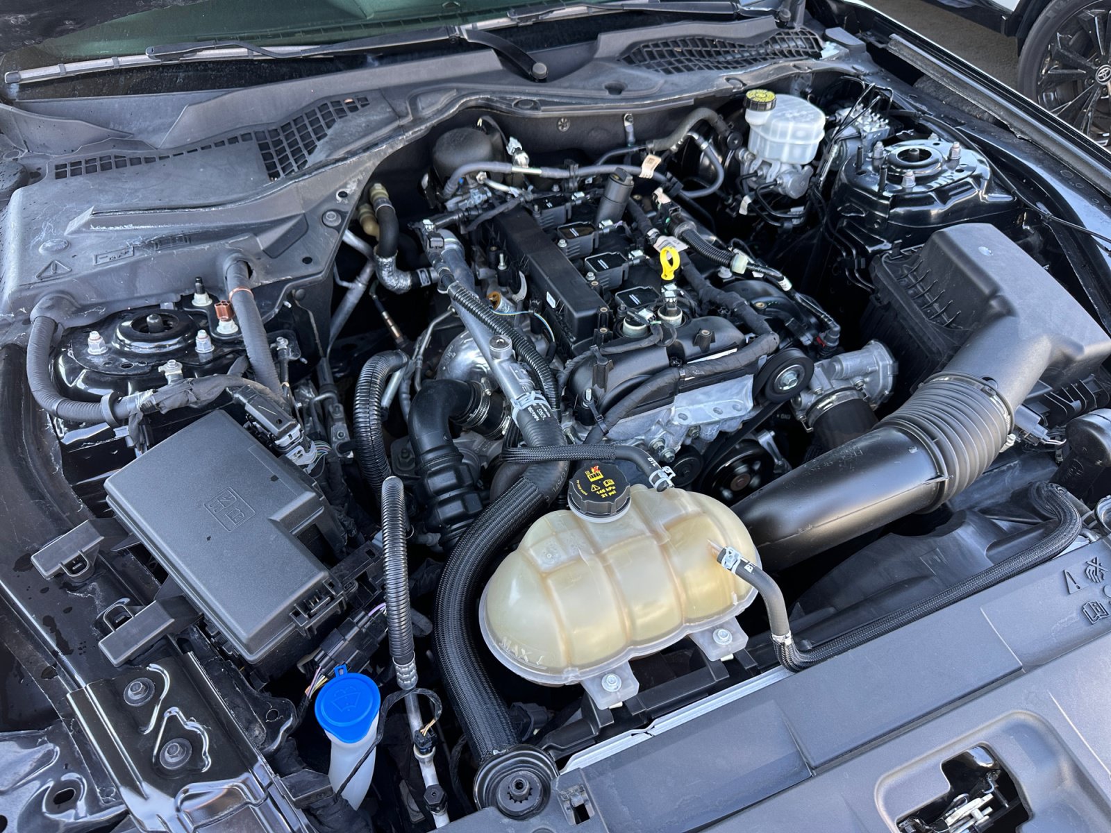 Used 2022 Ford Mustang Coupe RWD image 27