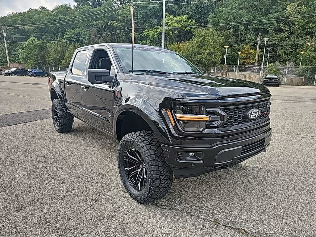 New 2025 Ford F150 XLT w/ Equipment Group 303A High image 3