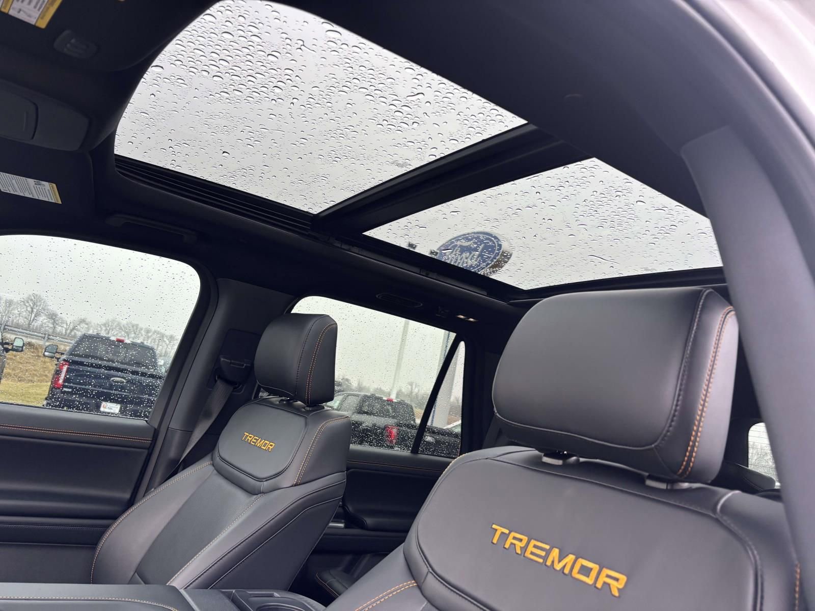 Used 2025 Ford Expedition Tremor image 27