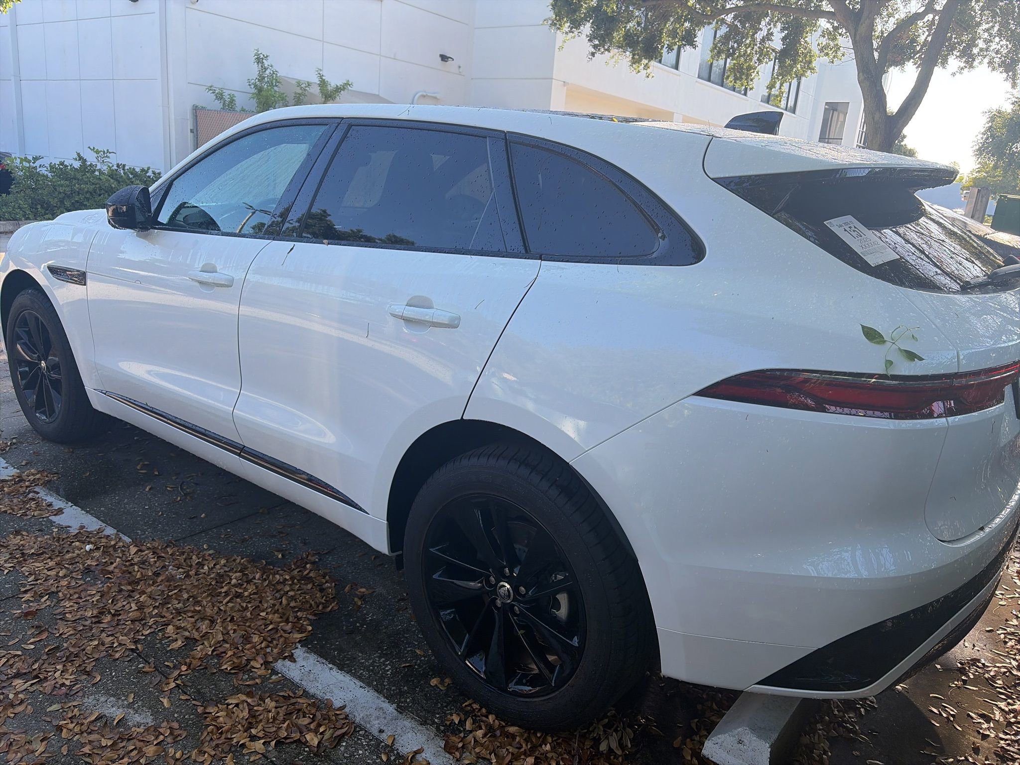 Used 2025 Jaguar F-PACE R-Dynamic S AWD/4WD image 5