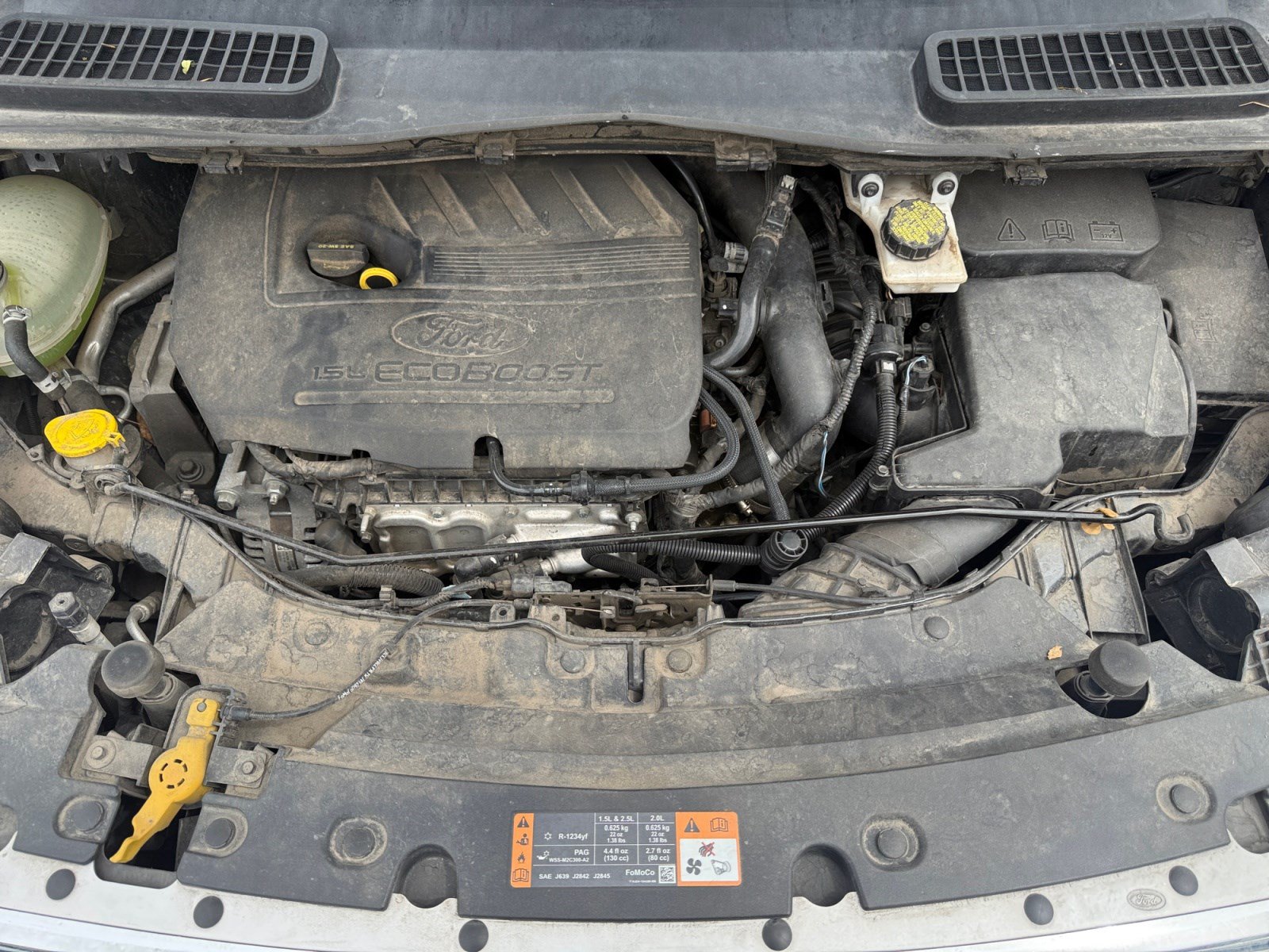 Used 2019 Ford Escape SE AWD/4WD image 20
