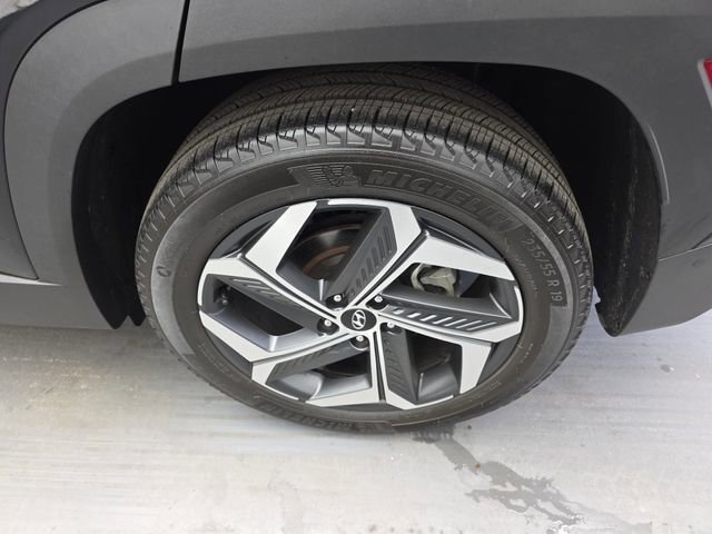 Used 2022 Hyundai Tucson Limited image 16