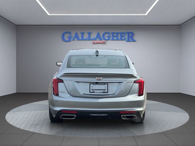 Used 2025 Cadillac CT5 Premium Luxury w/ Platinum Package image 6